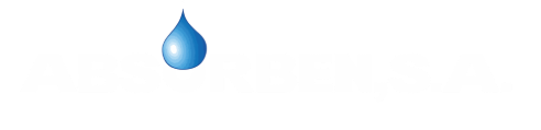 absorbentesdecentroamerica.com